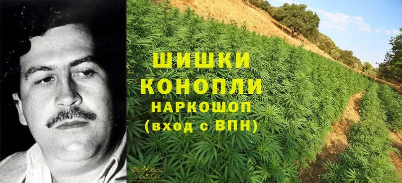 как найти закладки  Ковдор  гидра зеркало  Каннабис LSD WEED 